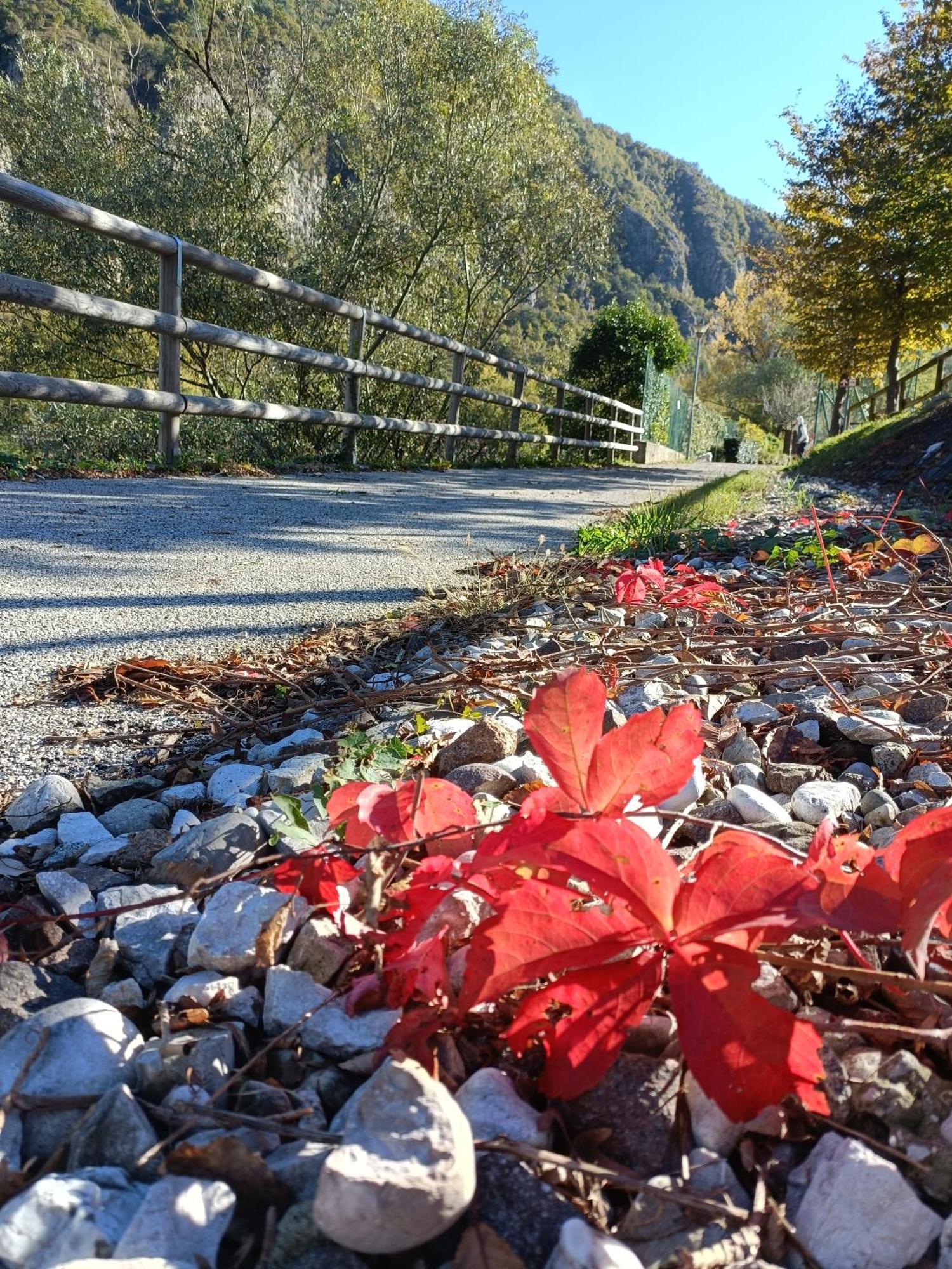 Borgo Lungofiume B&B Valbrenta Buitenkant foto